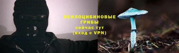 ECSTASY Алзамай