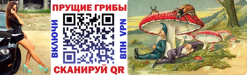 Галлюциногенные грибы Psilocybine cubensis  цена   Ртищево 